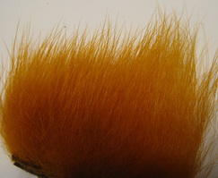 polar bear sunburst premium